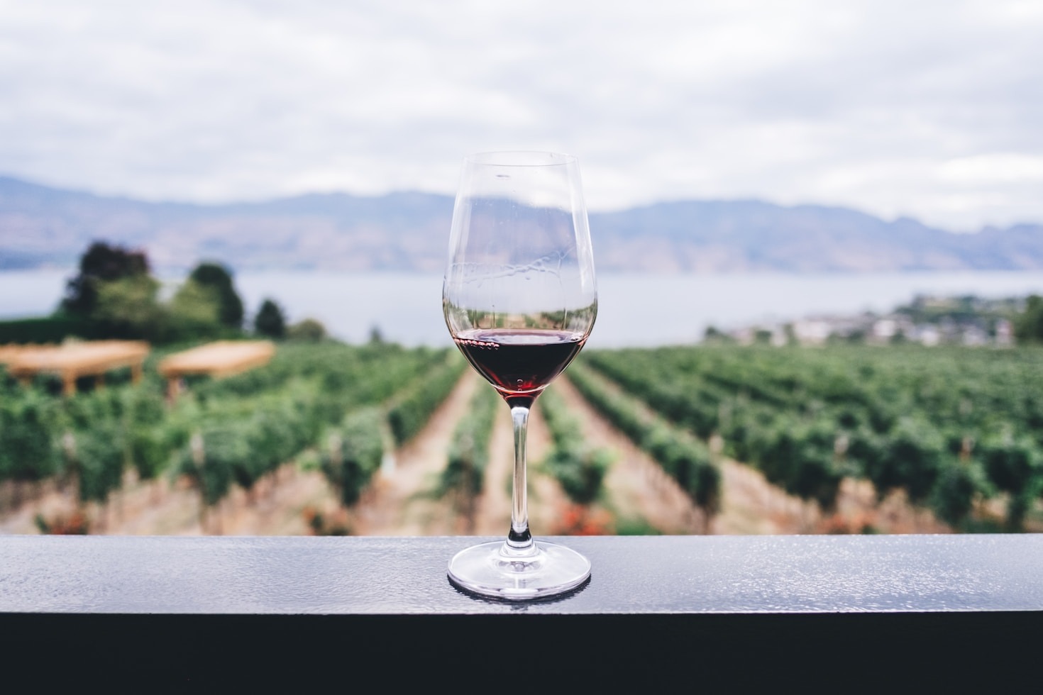 How Wine Regions Shape Flavor Profiles